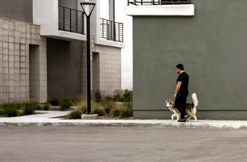 Before You Sign, Consider the Dog: How Your Pets Should Drive Your Housing Decision