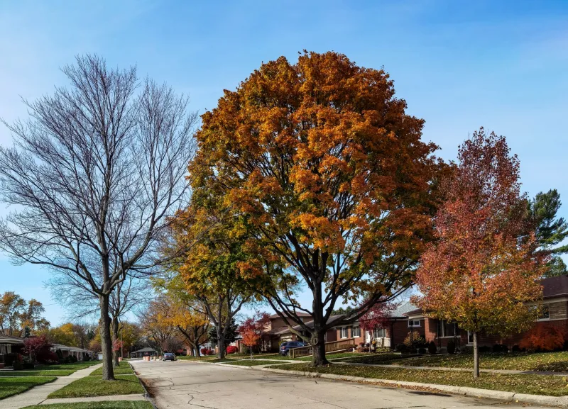 Why the Streets Themselves Keep People From Leaving