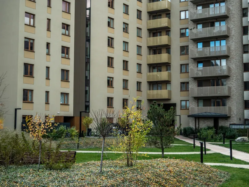 Your Neighbors Are Not Accidental: How Your Residential Address Quietly Shapes Your Social World