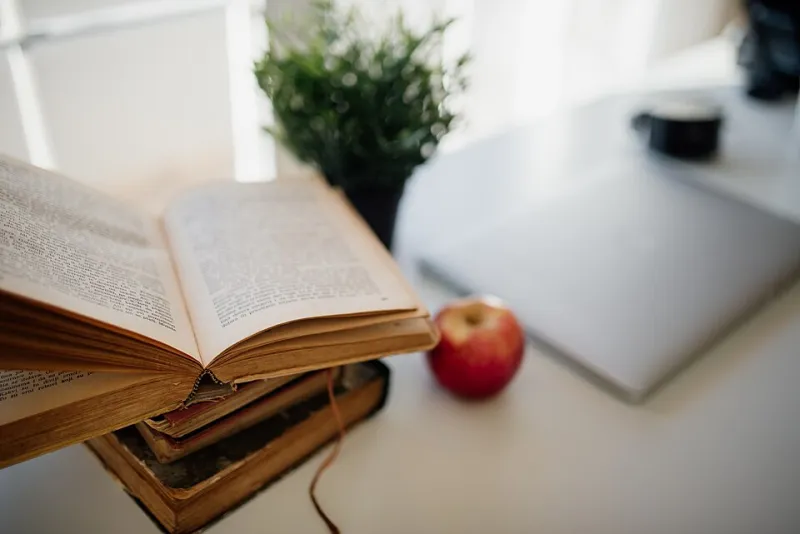 Light Before Everything: Why Natural Illumination May Be the Most Honest Measure of a Home