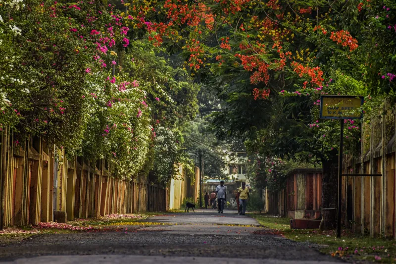 Paved With Purpose: How Street Design Quietly Engineers Your Social Life