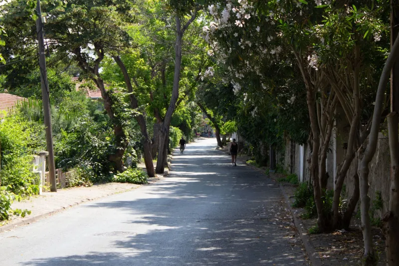Where You Live Shapes Who You Become: The Quiet Power of Address on Identity and Habit